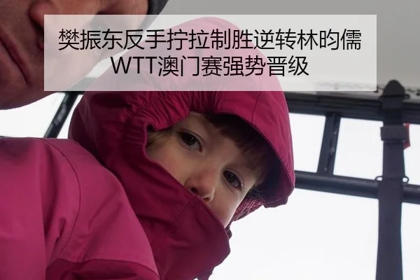 樊振东反手拧拉制胜逆转林昀儒 WTT澳门赛强势晋级