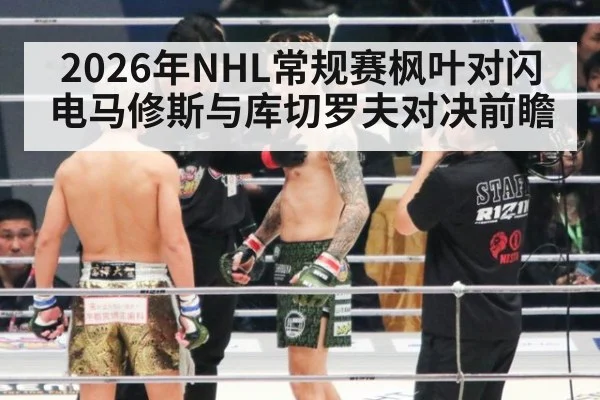 2026年NHL常规赛枫叶对闪电马修斯与库切罗夫对决前瞻